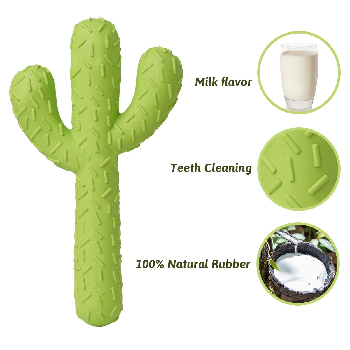 MejawJump protección dental para cachorros durante la dentición.