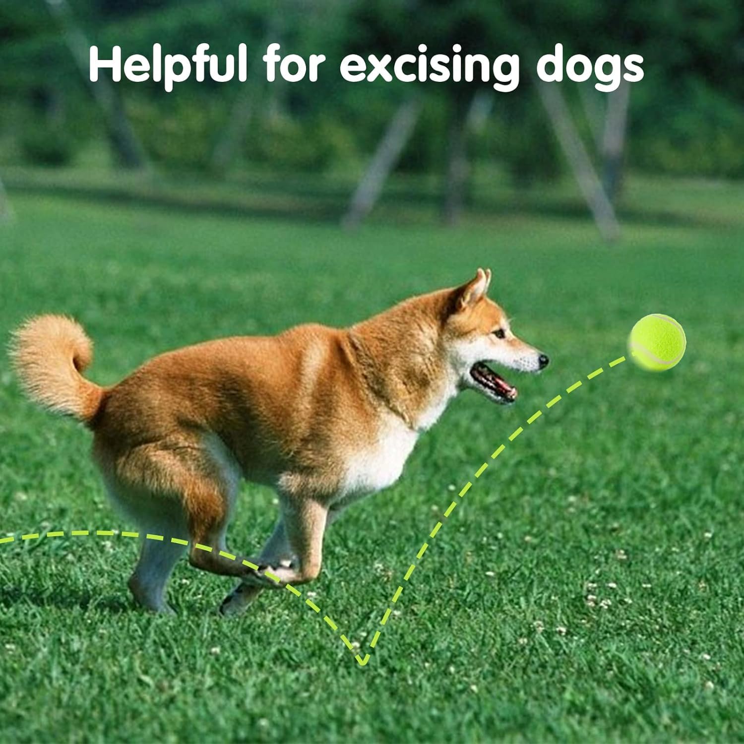 MEKAPLE bolas compatibles con lanzadores de pelotas para perros.