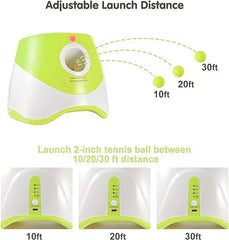 Pelotas mini de 2 pulgadas MEKAPLE para entrenamiento y diversión sostenida.