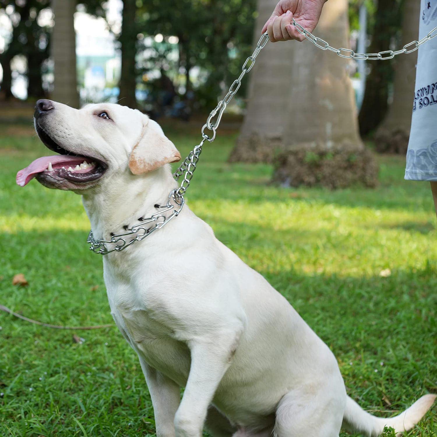 Cadena ligera y portátil de MELAIRON para viajar con mascotas