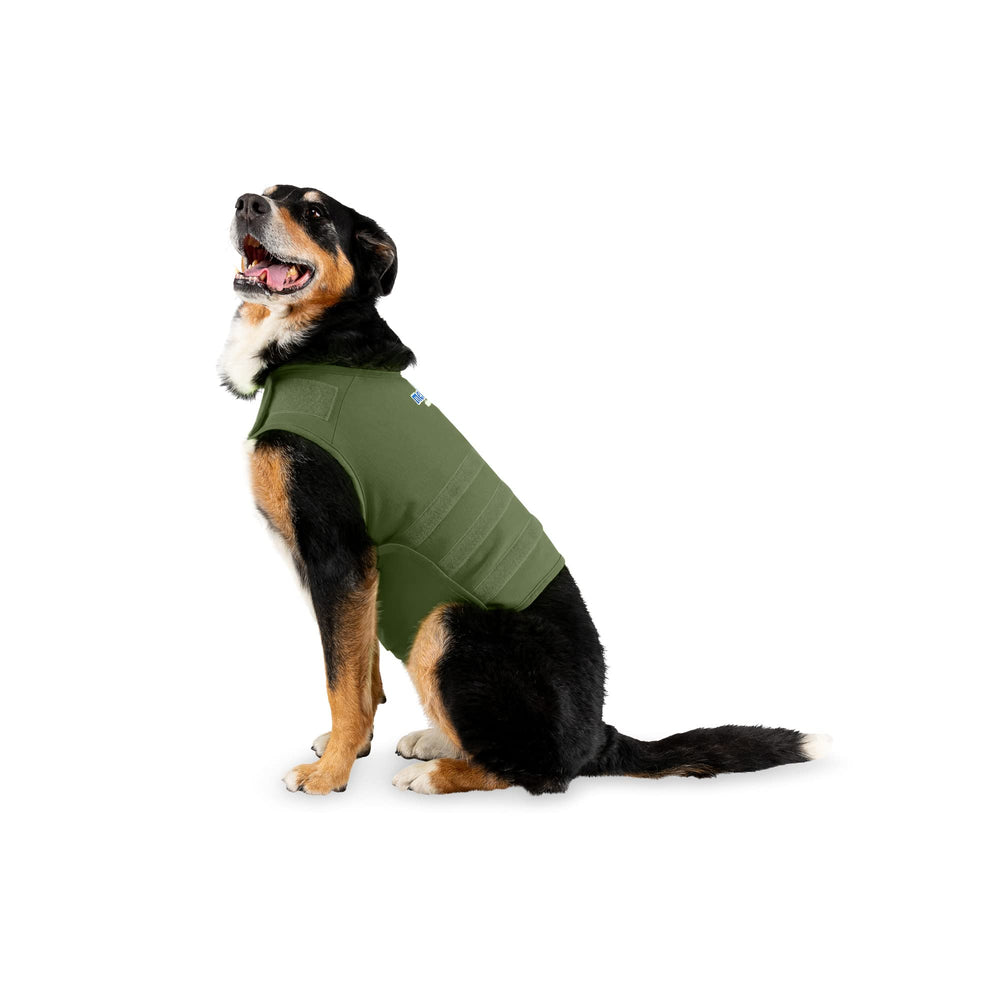 Chaleco Mellow Shirt envuelve al perro para mayor tranquilidad durante tormentas