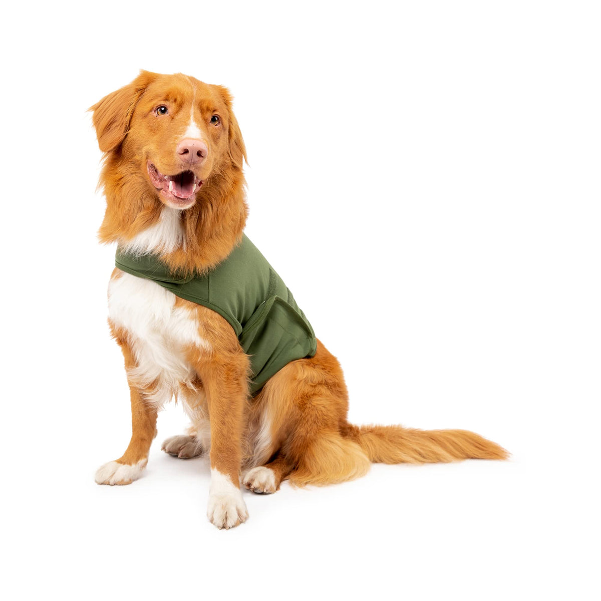 Mellow Shirt perro frente: vista frontal del chaleco calmante para visitas al veterinario.