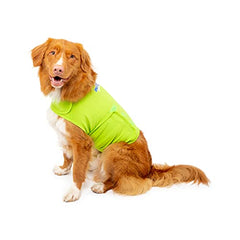 Mellow Shirt, detalle cierre velcro, facilita ponérselo y quitarlo en paseos.