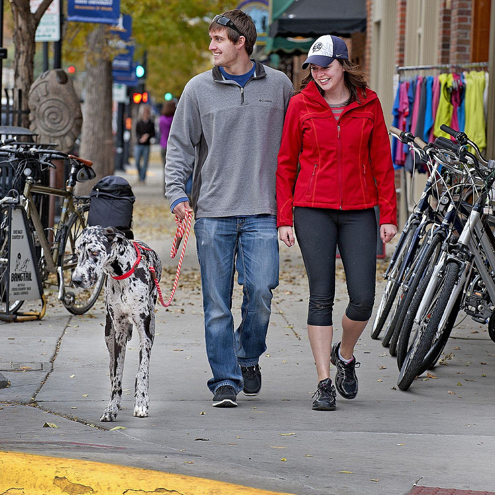 Mendota Snap Leash para perros grandes, compatible con collares a juego Mendota.