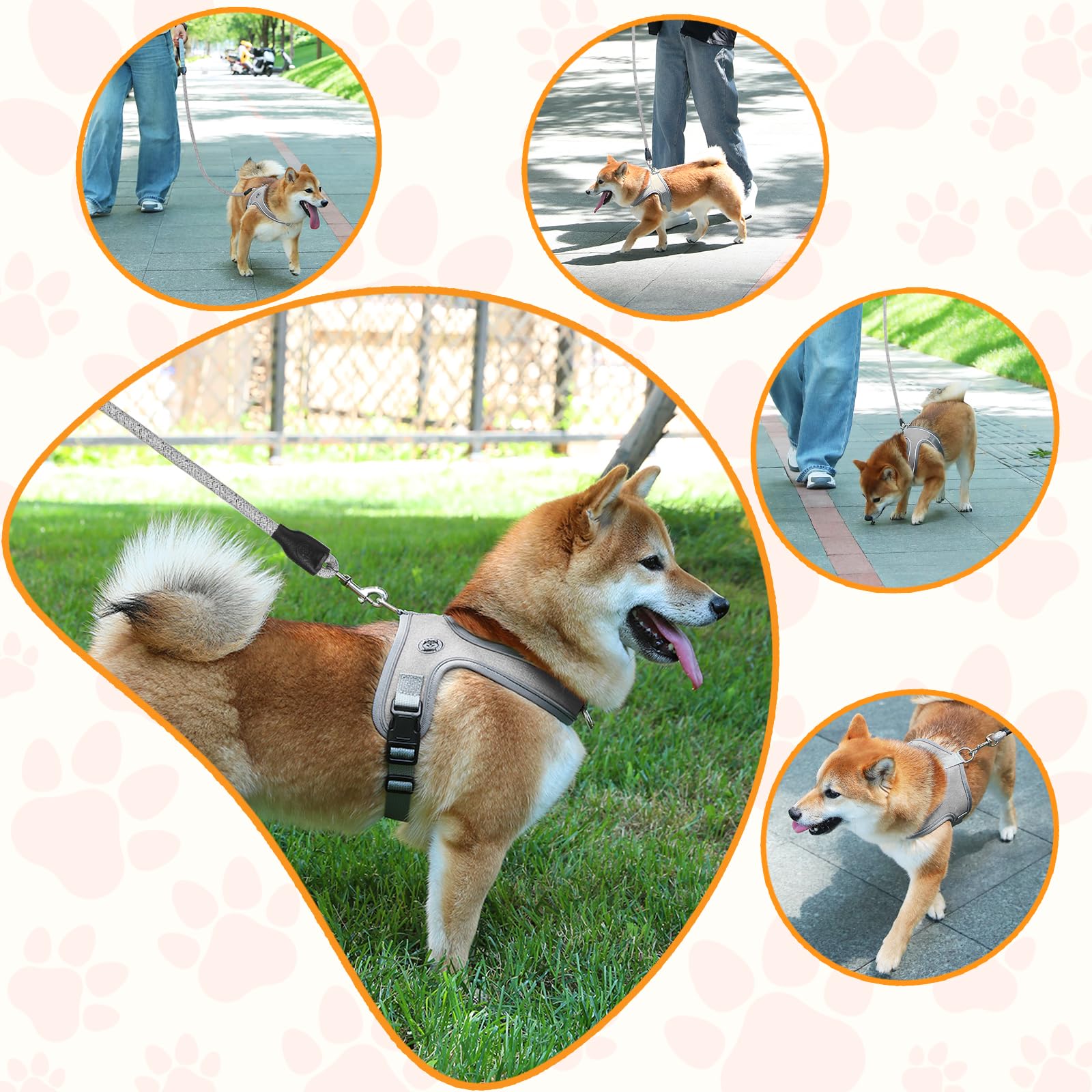 Kit Mengbei Tribe arnés y correa para perro, conjunto listo para paseos.