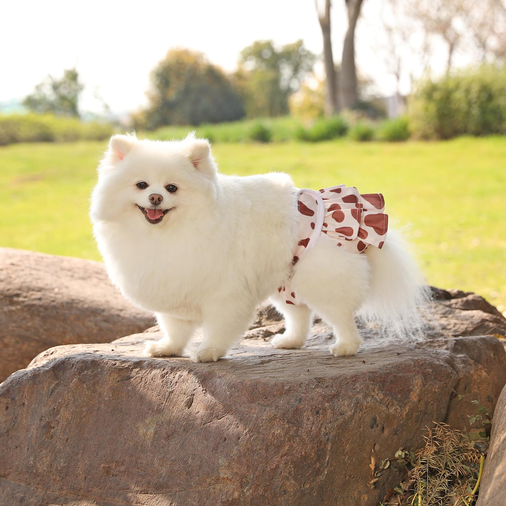 Diseño estampado animal Mengelina en pañales para perras, estilo y comodidad.