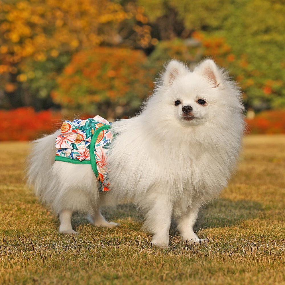 Pañales Mengelina para perras talla M, ajuste seguro para mascotas medianas.
