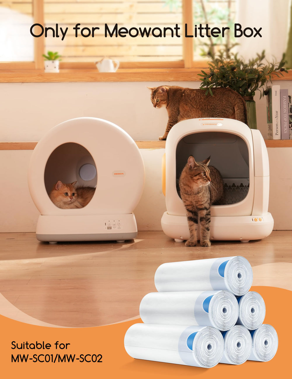 Uso diario: cambio rápido de arena con Meowant.