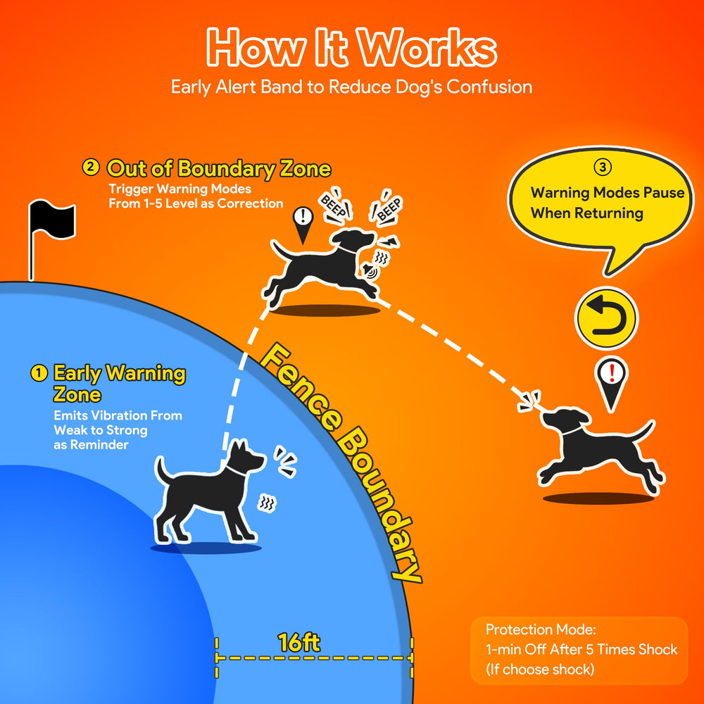 Meowant entrenamiento remoto, control a distancia para corregir conductas.