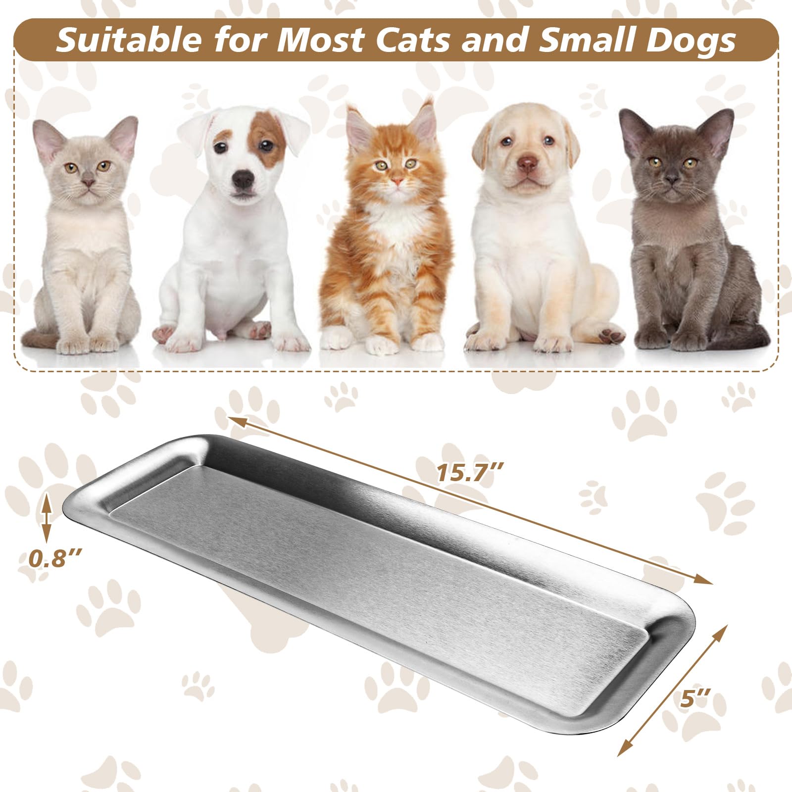Meowgod pack de 2 tazones, ideal para hogares con varias mascotas.