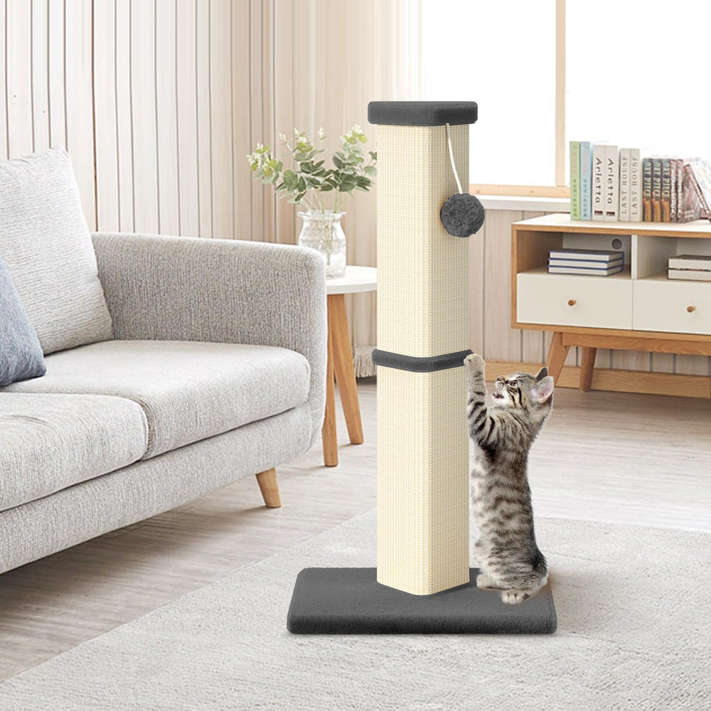 MeowHomm gato usando el poste, rasca en área designada.