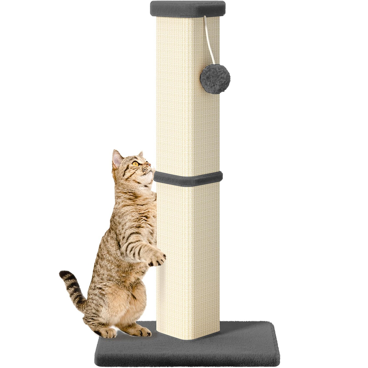MeowHomm poste rasca de 32 pulgadas para interiores, ideal para gatos grandes.