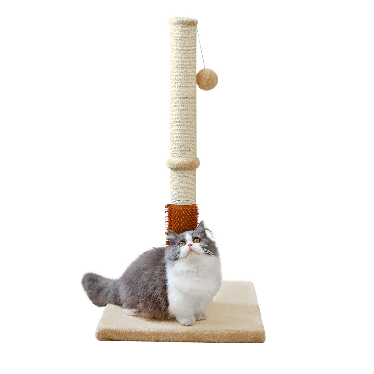 MeowHomm poste rascador 32 pulgadas para gatos, ideal para estiramiento y juego.