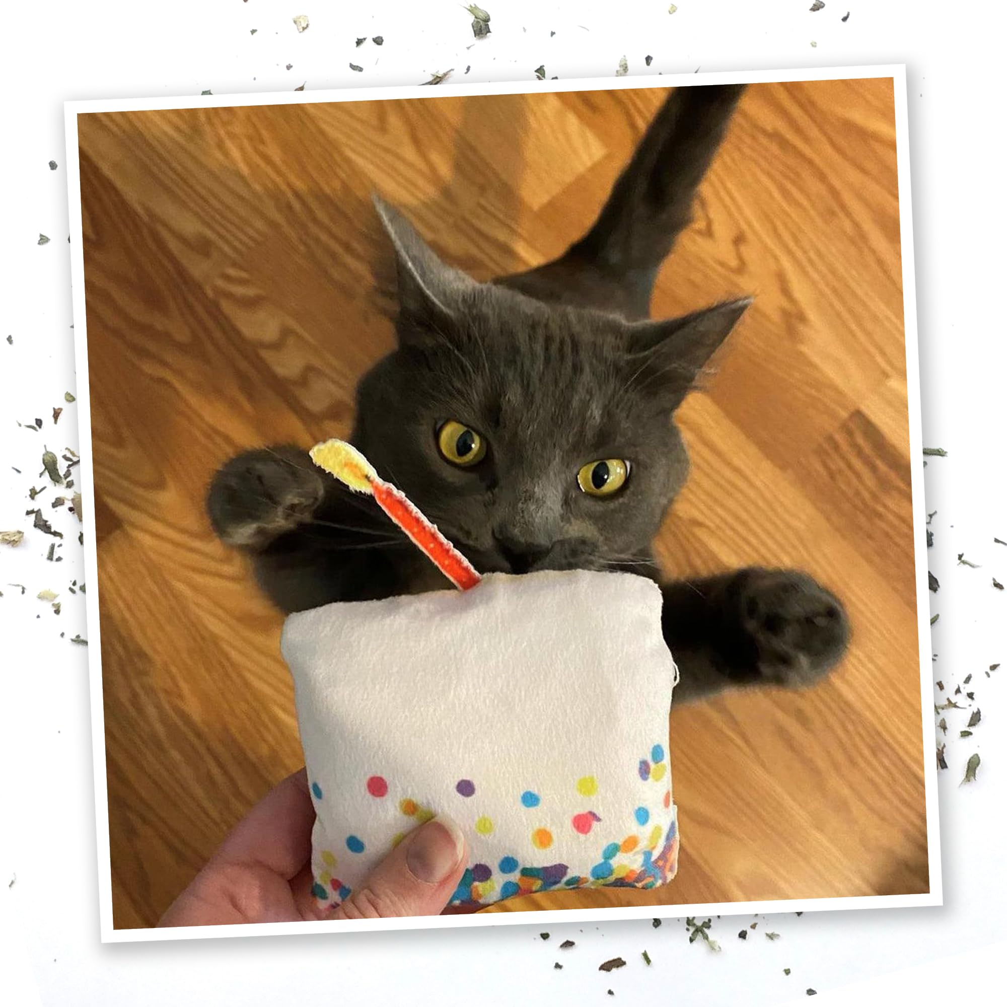 Meowijuana Birthjays: opción segura para felinos y uso responsable
