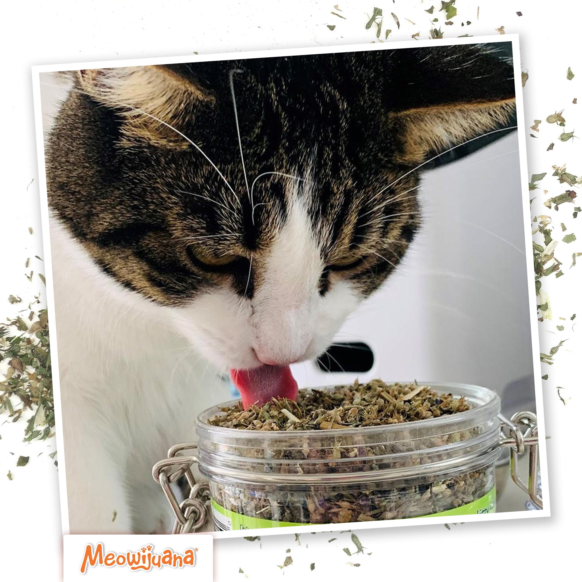 Meowijuana Catnibas Pawty Mix fomenta actividad física en gatos activos.