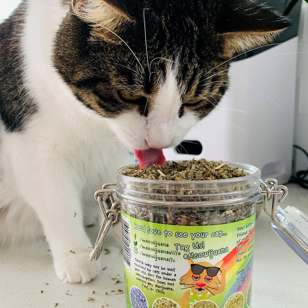 Catnibas Pawty Mix envase de 60 g para porciones fáciles.