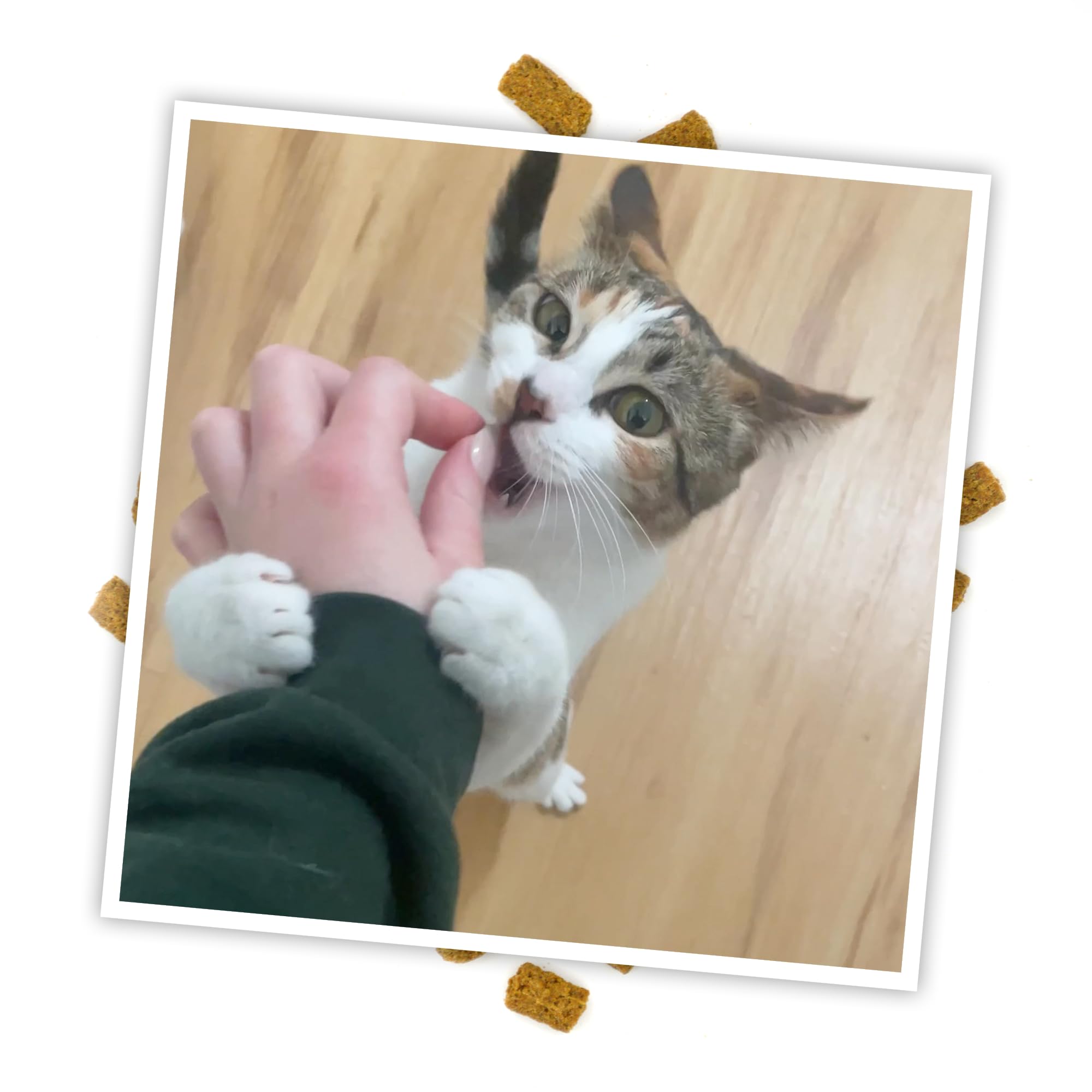 Meowijuana Crunchie Munchies bajo calorias, bocado ligero para snack.