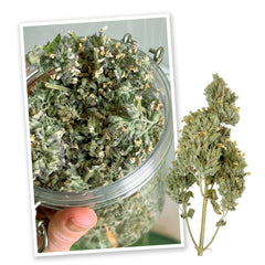Empaque de Meowijuana en Norteamérica con calidad natural y origen seguro.