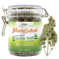 Meowijuana frasco de hierba gatera seca para juego prolongado y estimulante.