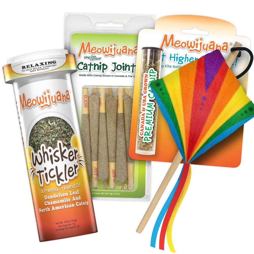 Meowijuana: juguete cometa para gatos que fomenta juego activo y exploración.