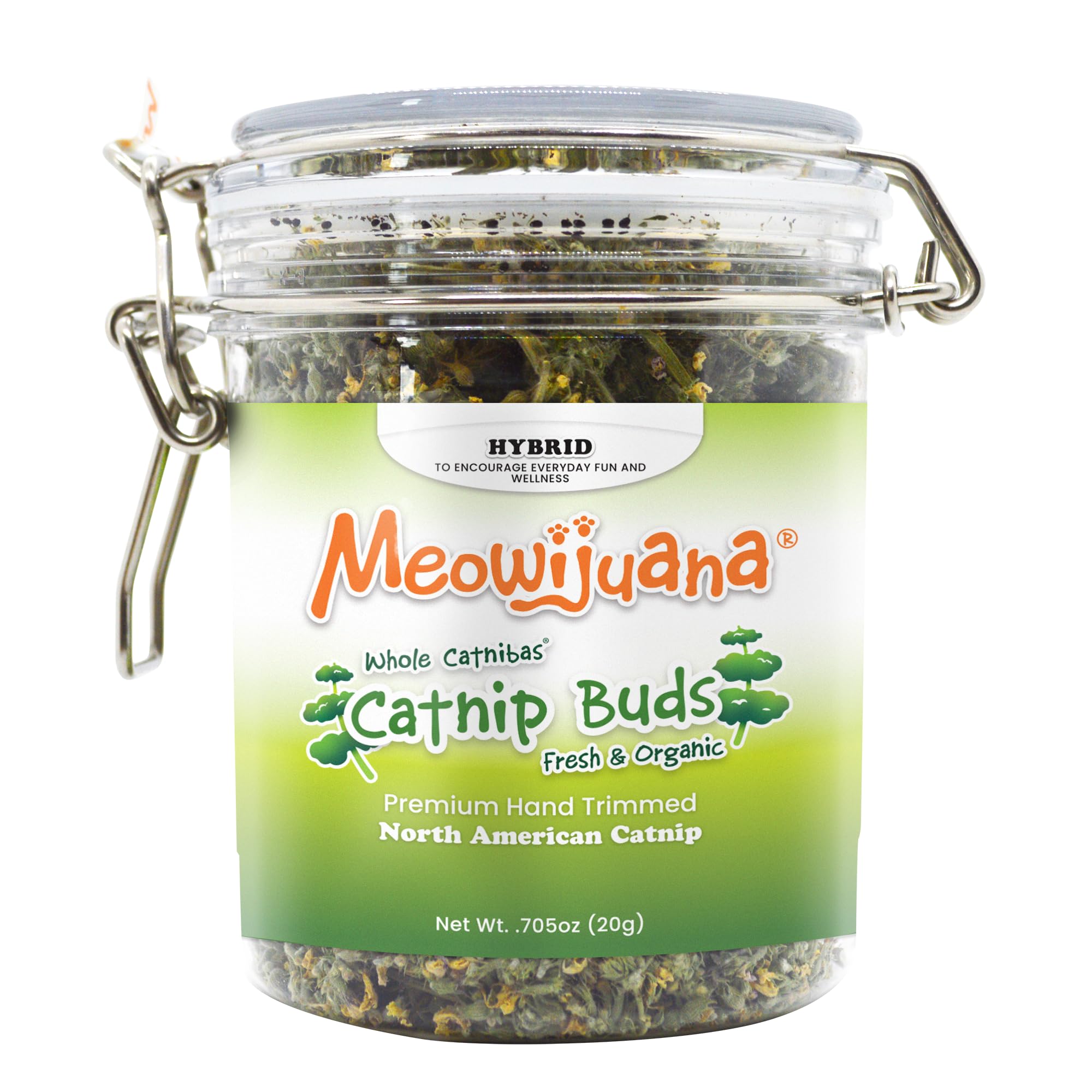 Rutina diaria de juego para gatos activos con Meowijuana.