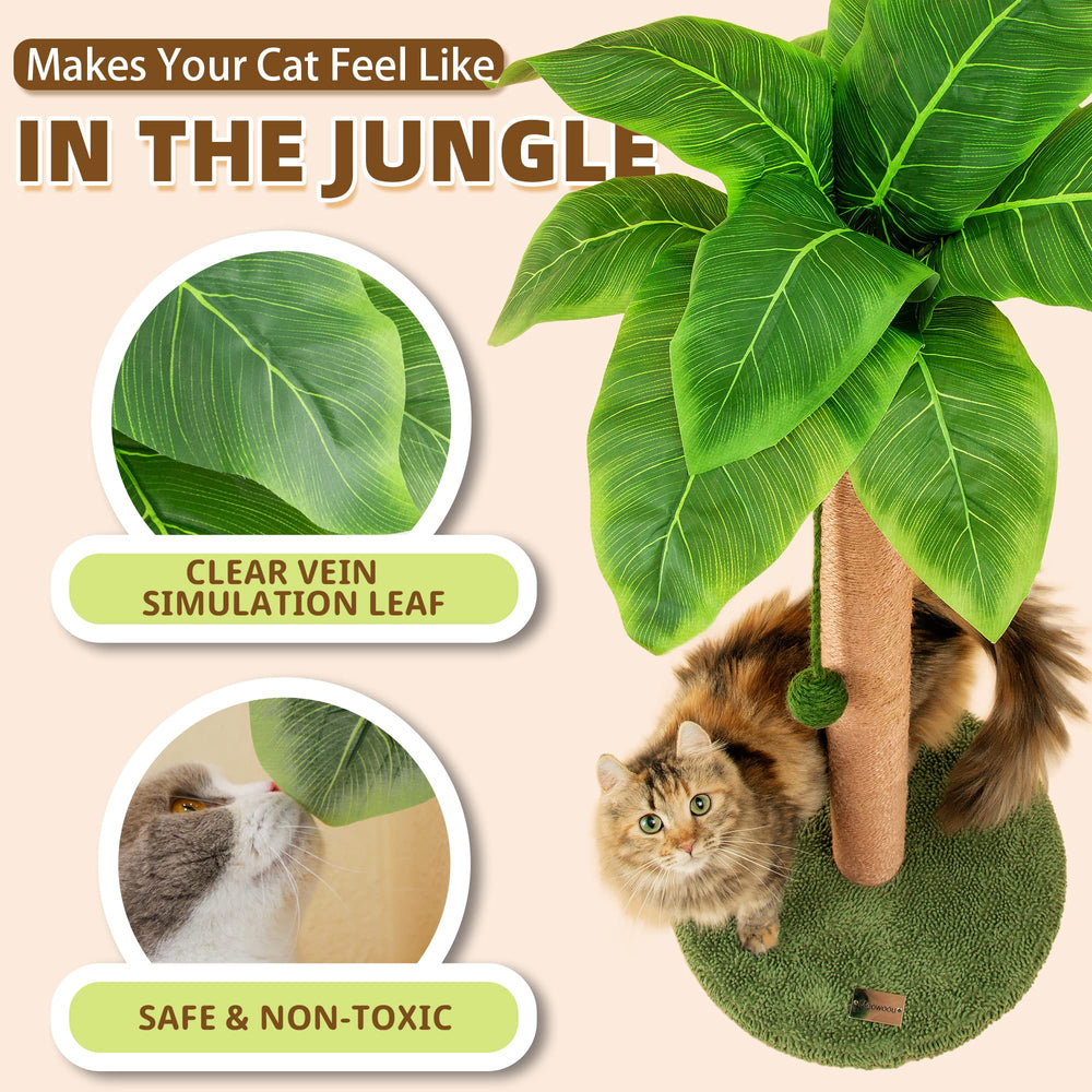 Meowoou diseño moderno complementa la decoración verde del hogar