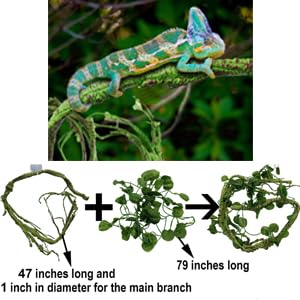 MEPHAN diseño DIY con ramas flexibles para terrarios de reptiles