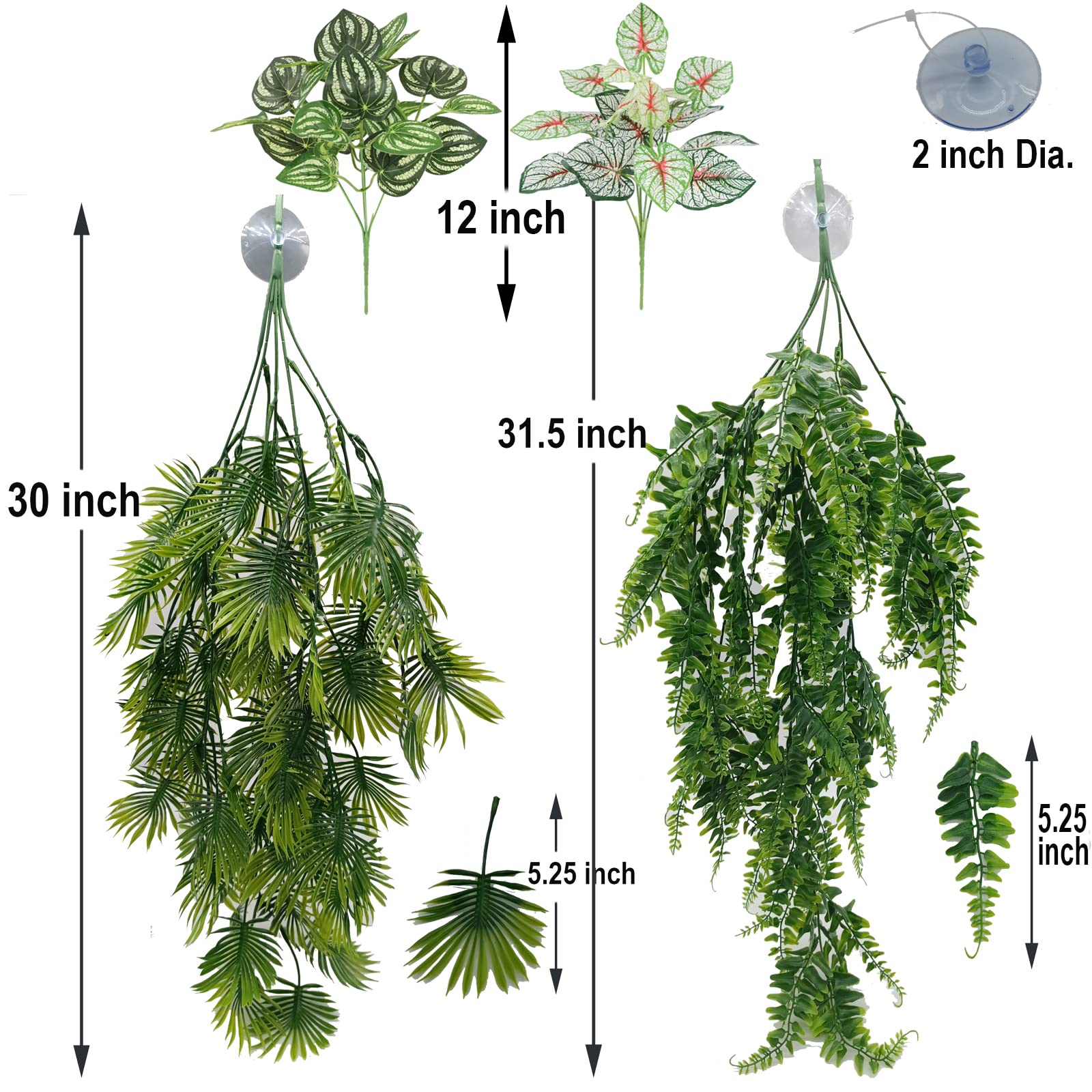 Plantas de hiedra mini colgantes para acentos naturales.
