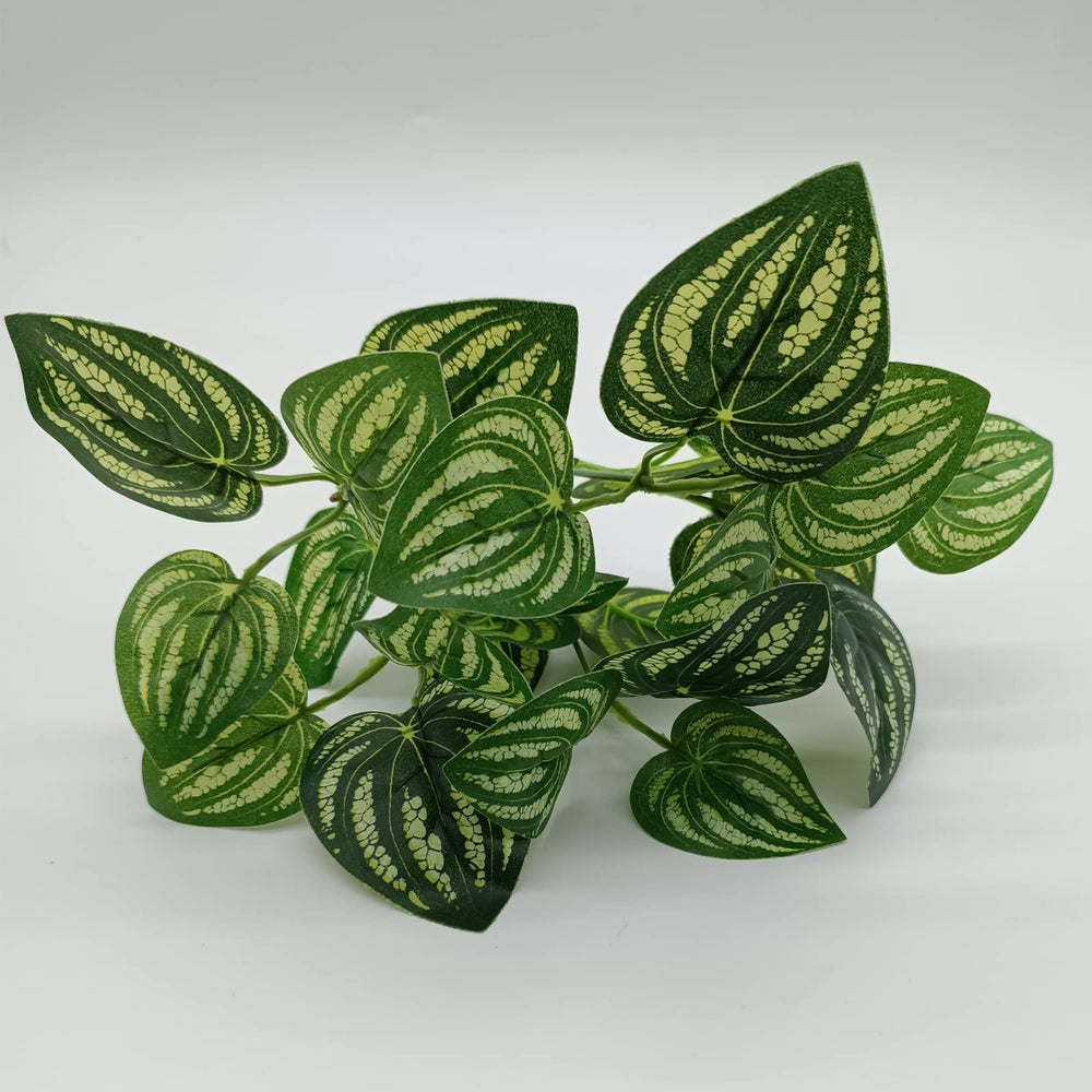 Mephan segunda hiedra colgante de 12 pulgadas, añade cobertura vegetal en terrario.
