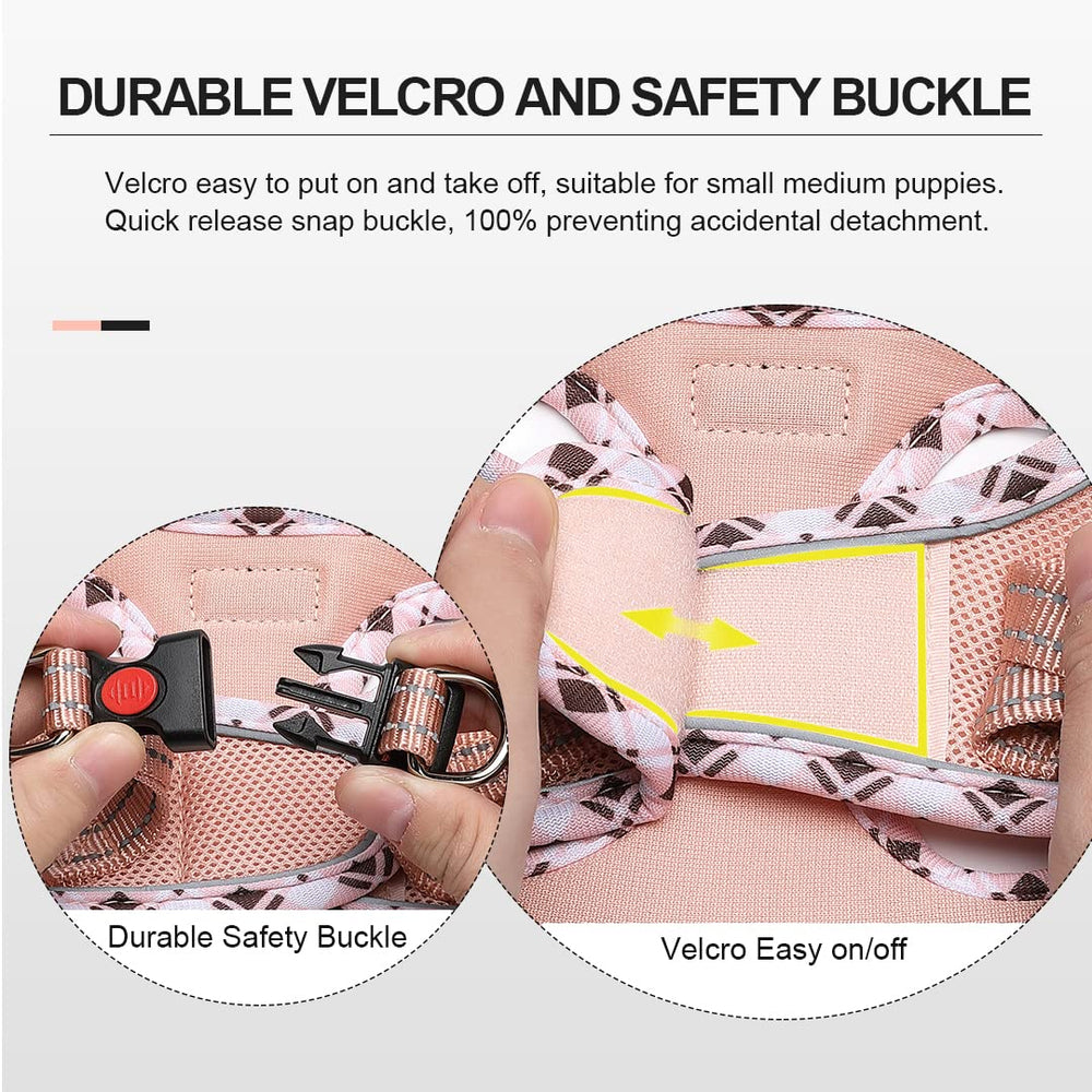 Mercano accesorios con luz frontal para mayor seguridad.