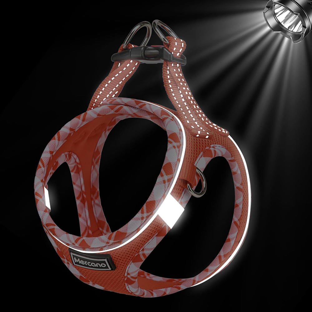 Mercano accesorios ID y clip de luz, útiles para paseos nocturnos.