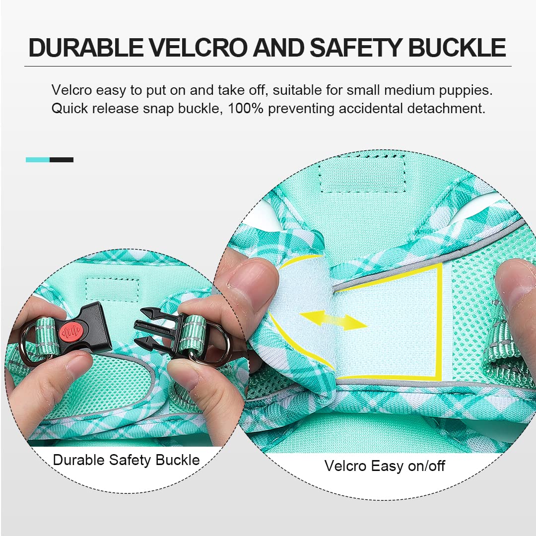 Mercano arnés ligero y ergonómico, ideal para razas pequeñas.