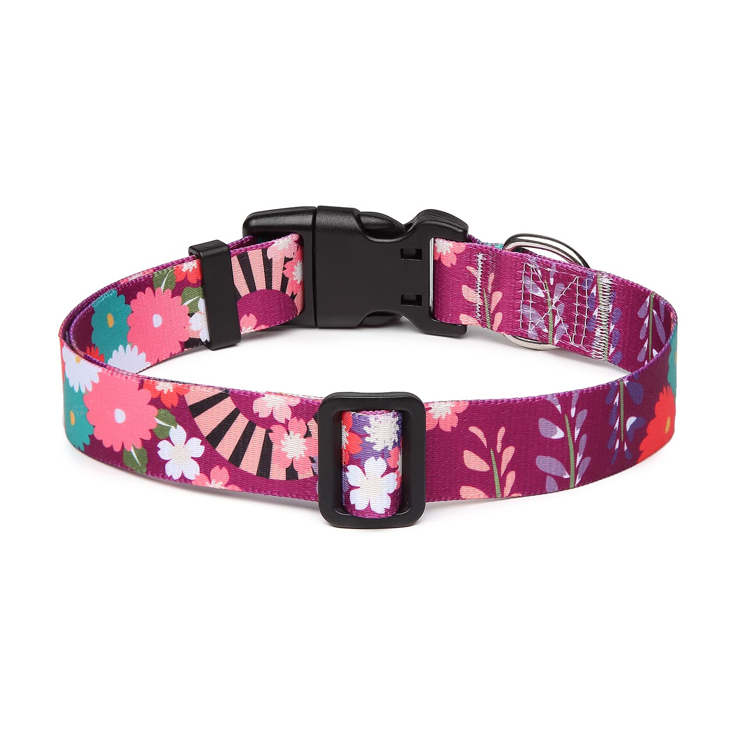 Mercano collar de perro ajustable con hebilla rápida, seguro y fácil de poner.