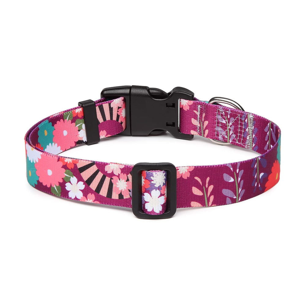 Mercano collar de perro ajustable con hebilla rápida, seguro y fácil de poner.