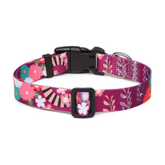 Mercano collar de perro ajustable con hebilla rápida, seguro y fácil de poner.