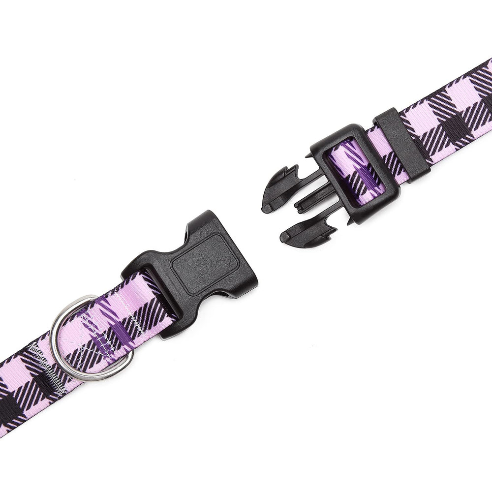 Patrón púrpura Mercano, estilo distintivo para perros y paseos felices.