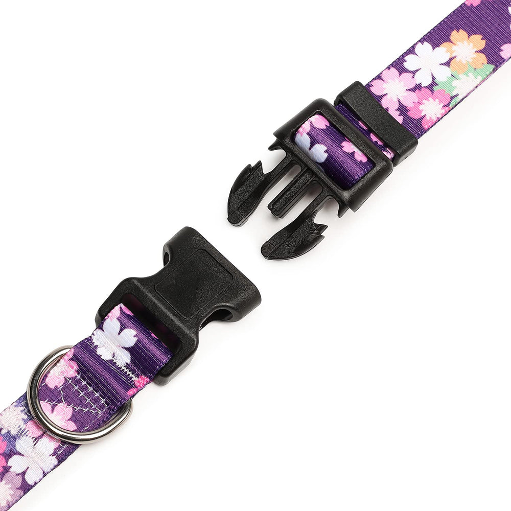 Mercano collar para perro con textura duradera, ideal para uso diario.