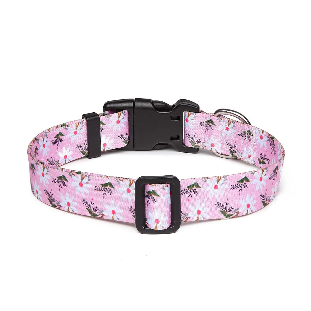 Collar Mercano ajustable con patrón tribal floral, ideal para perros pequeños y medianos.