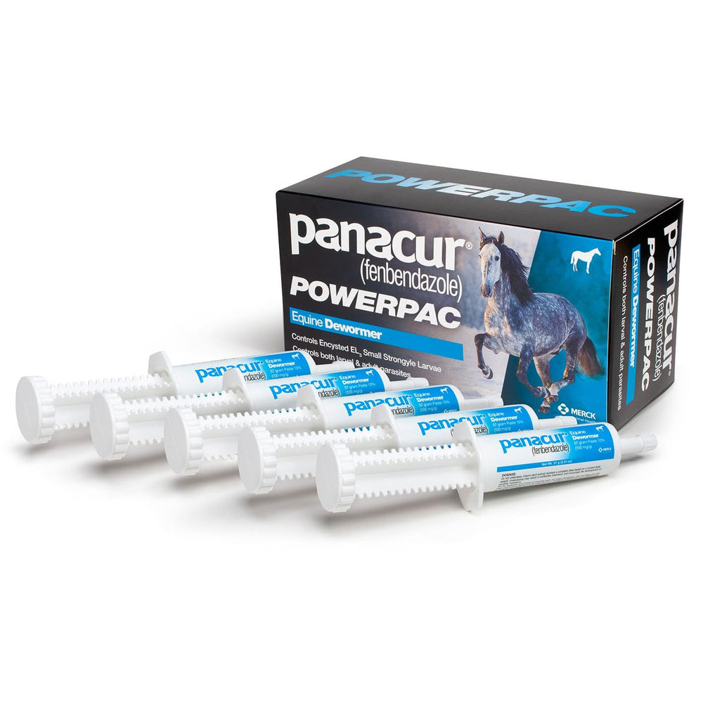 Panacur Powerpac para helmintos comunes de caballos.