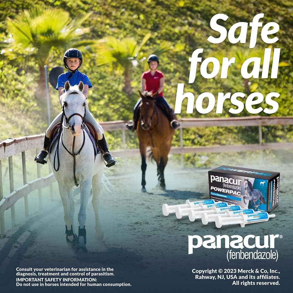 Uso diario con Panacur Powerpac en caballos.