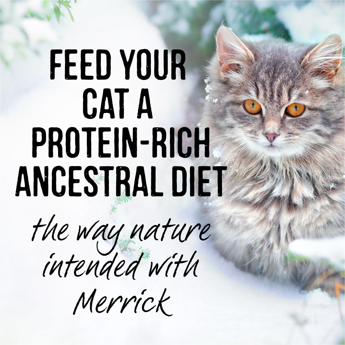 Merrick Backcountry: proteina alta, energia para el dia a dia.