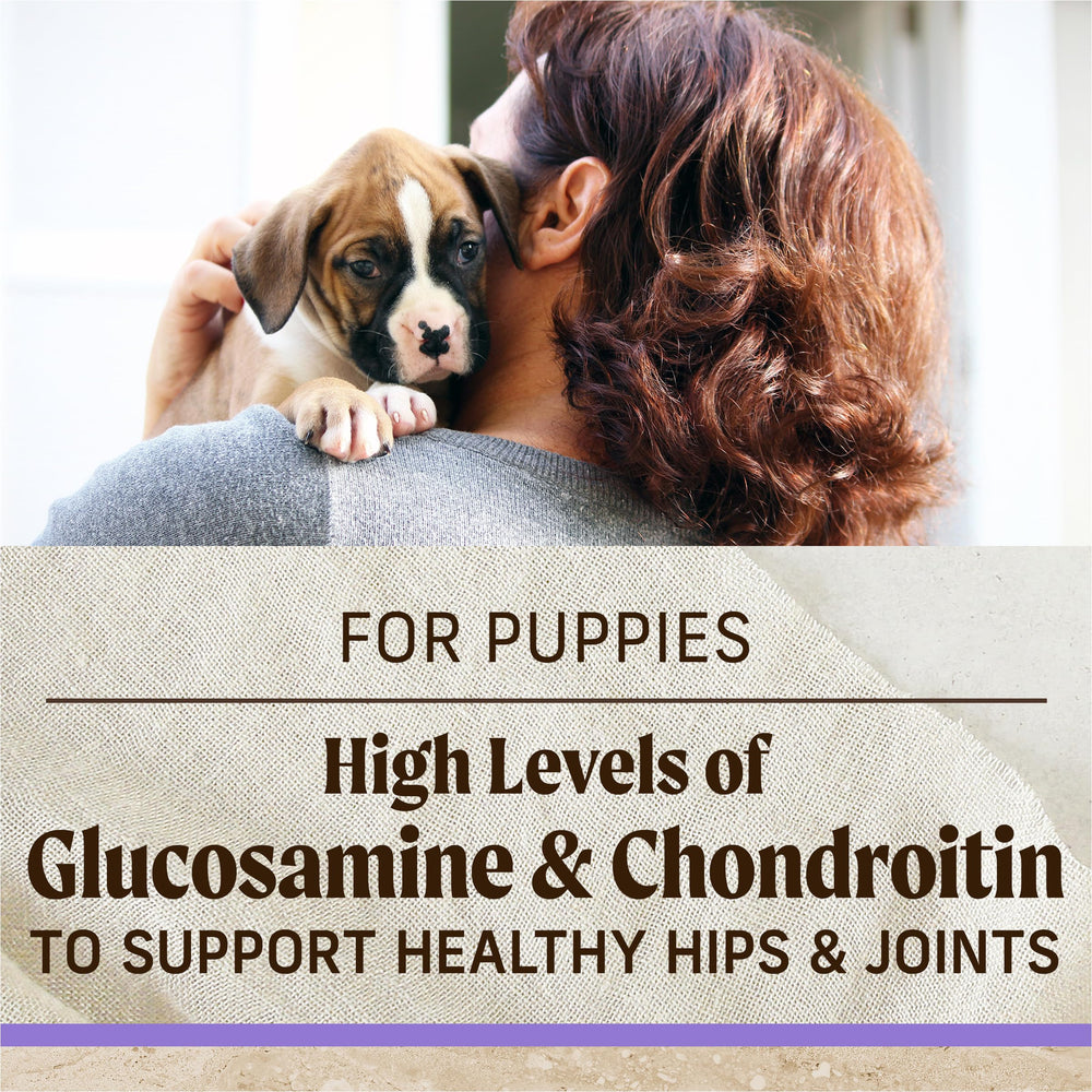 Merrick Healthy Grains para cachorros, fórmula sin patatas, guisantes, maíz, lentejas ni soja.