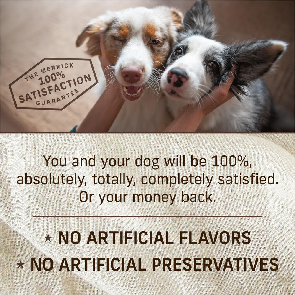 Merrick platillo suave cachorro lata, textura tierna para cachorros jóvenes.
