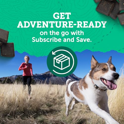 zukes ideal para aventuras diarias y paseos