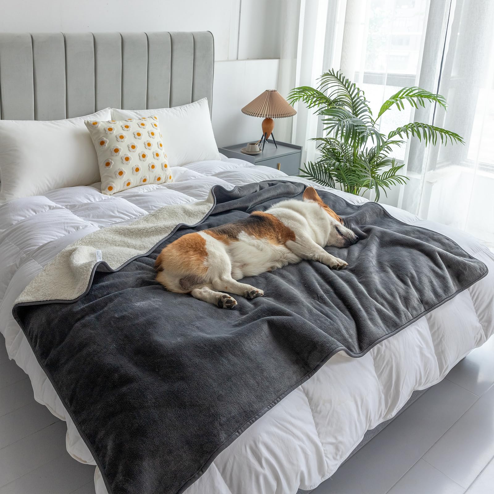 MERRYLIFE manta protege manchas y líquidos alrededor de la cama ideal para mascotas