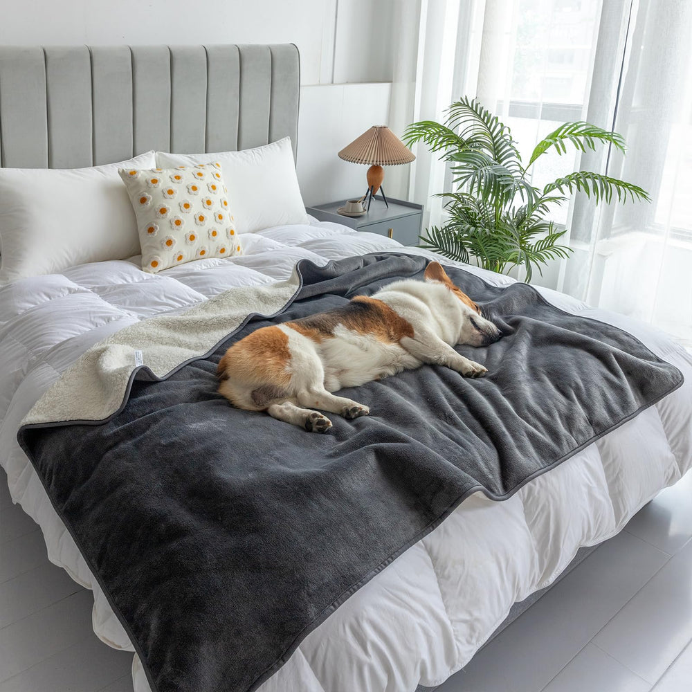 MERRYLIFE manta protege manchas y líquidos alrededor de la cama ideal para mascotas