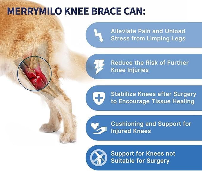 MerryMilo: cierre de velcro ajustable para un ajuste cómodo