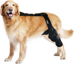 Rodillera MerryMilo para perro, ajuste-seguro durante paseos diarios.