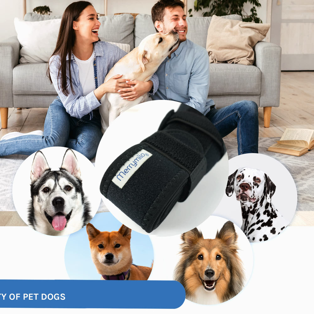 MerryMilo rodillera para patas traseras, ideal para mantener movilidad.