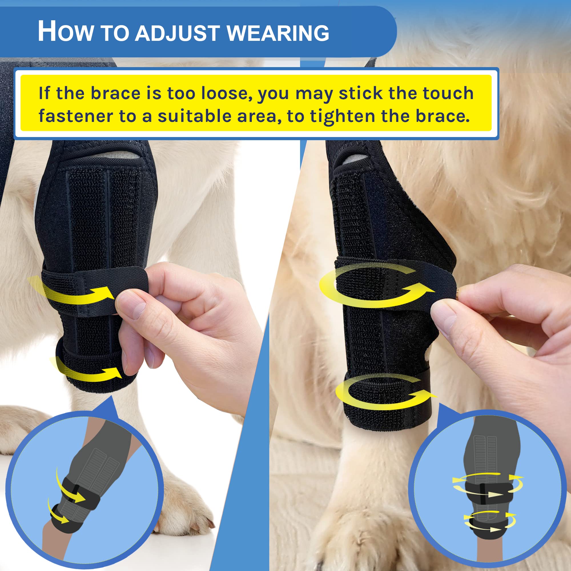Rodillera MerryMilo ofrece sujeción estable para articulaciones caninas.